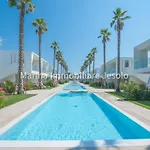 Palms