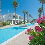 Palms